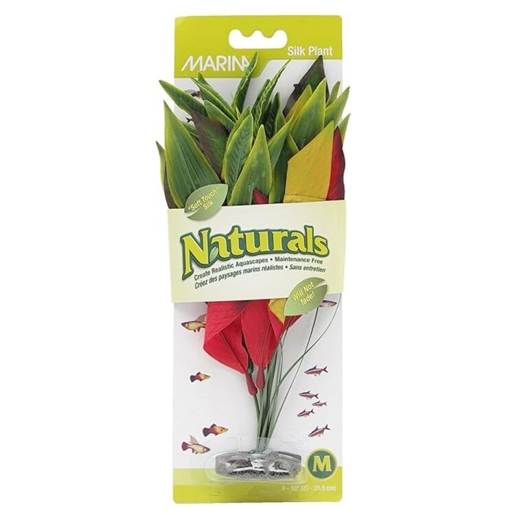 Marina Ma Ntrl Red/Yellow Dracena Lg