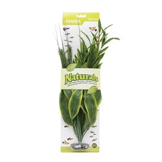 Ma Ntrl Green Dracena Xl