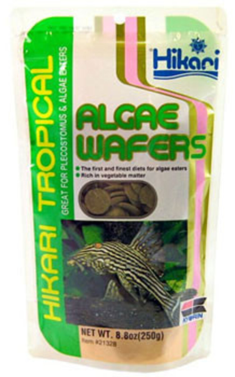 Hikari HIK TROP ALGAE WAFER 40 GM