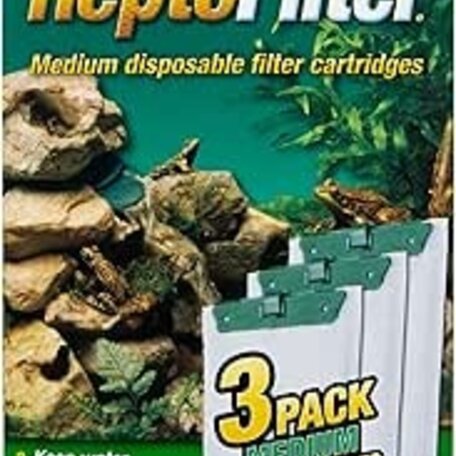 Reptile Department - Fins and Feathers Inc.
