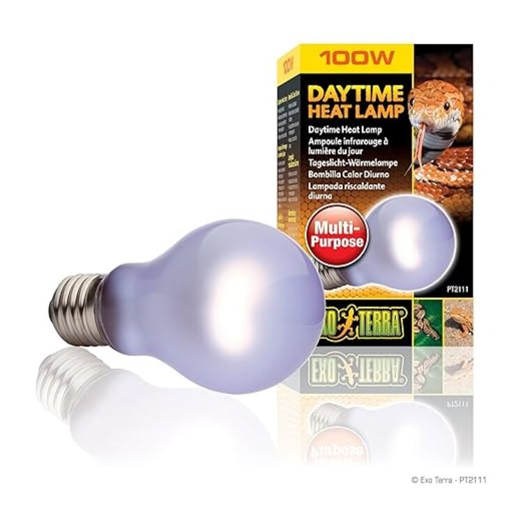 Exo Terra HAG EXO DAY GLO A19 100WT