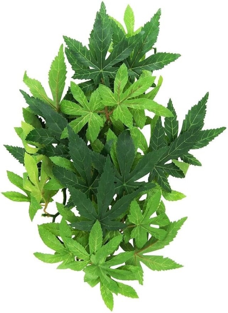 Hagen Exo-Terra Silk Plant Medium Abutilon