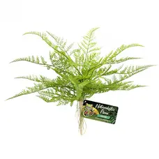 ZOO MED NATURALISTIC FLORA SWORD FERN