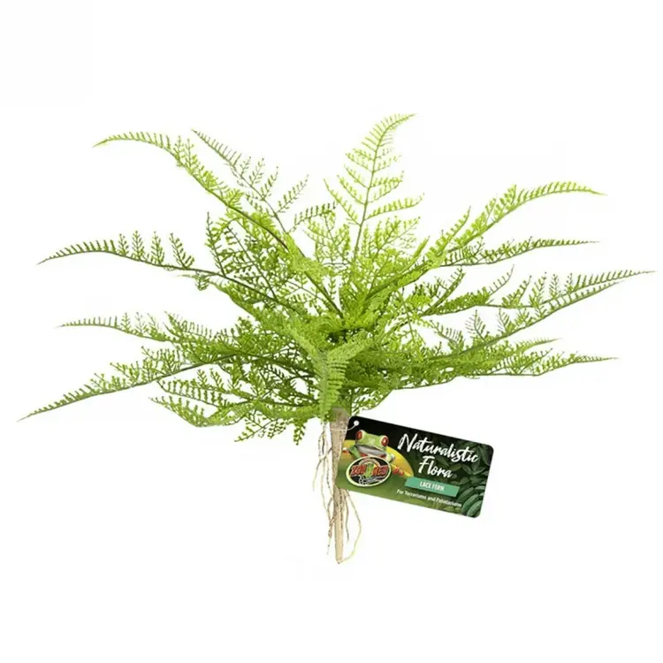 ZOO MED NATURALISTIC FLORA SWORD FERN