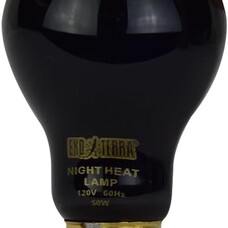 Hagen Exo Terra Night Heat Lamp 50W