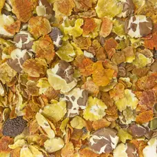 Higgins Hig Sunburst Veg Garden trt 5oz