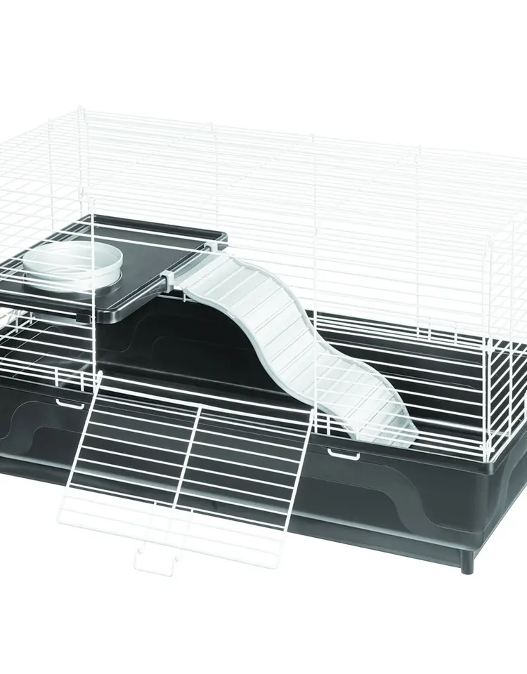 KayTee MFH PET RAT/SA HOME 24X12     1