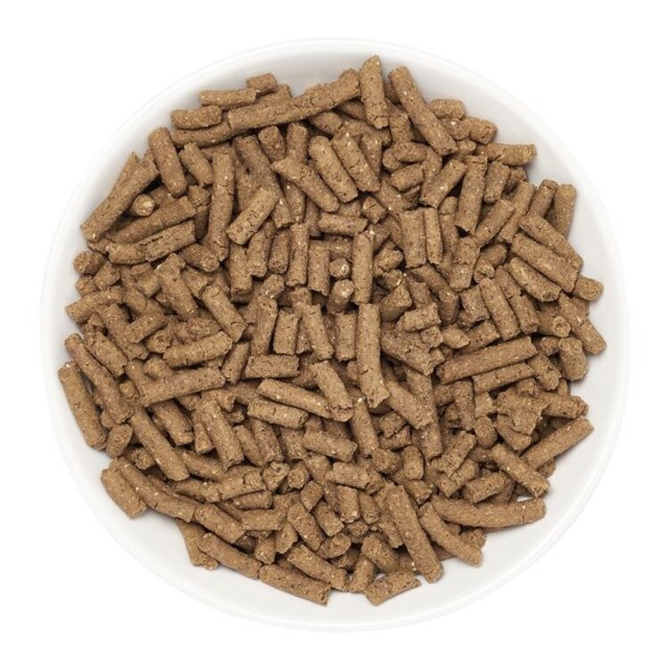 Marshall  Pet MP Prem. Ferret Diet 22oz