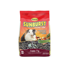 Higgins Hig Sunburst Guinea Pig 6#