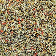 Higgins Hig Via Canary Seed 2#