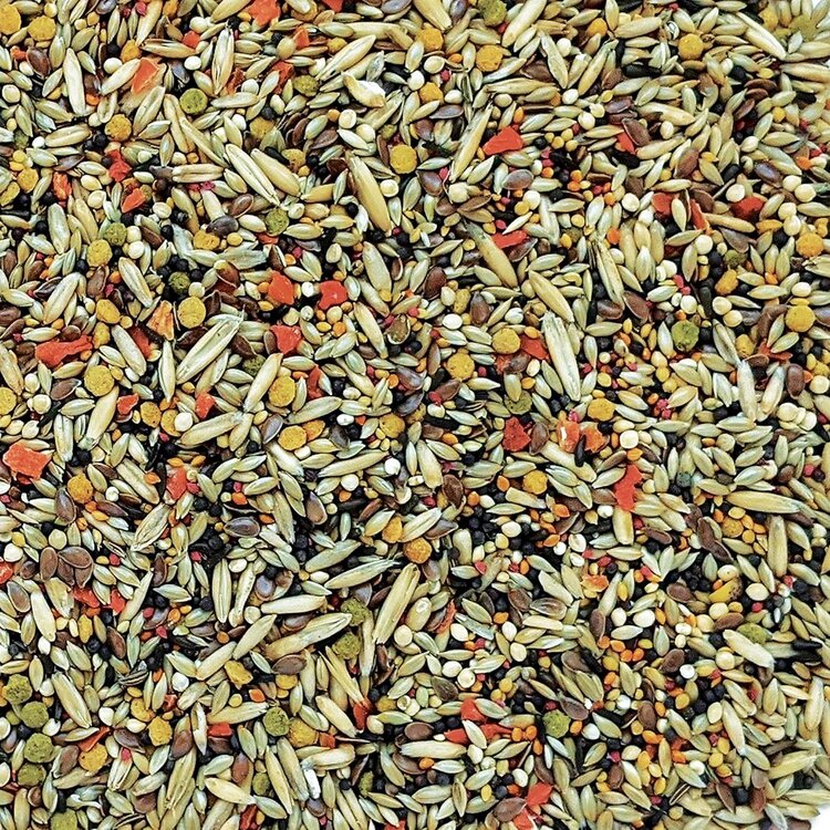 Higgins Hig Via Canary Seed 2#