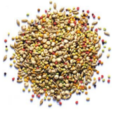 zupreem Zupreem Sensible seed P/C  2#