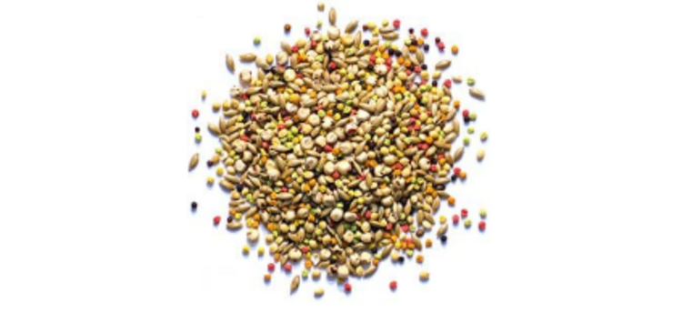 zupreem Zupreem Sensible seed P/C  2#