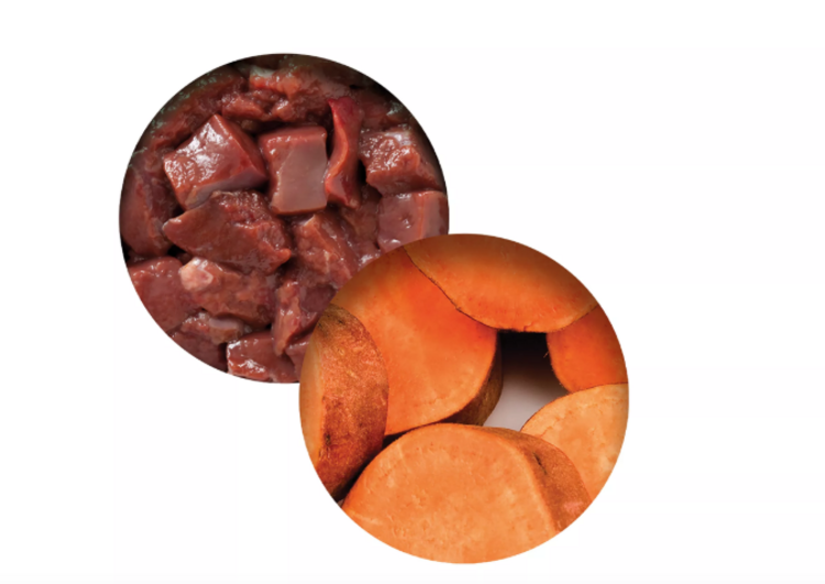 Hagen Catit Chicken Dinner