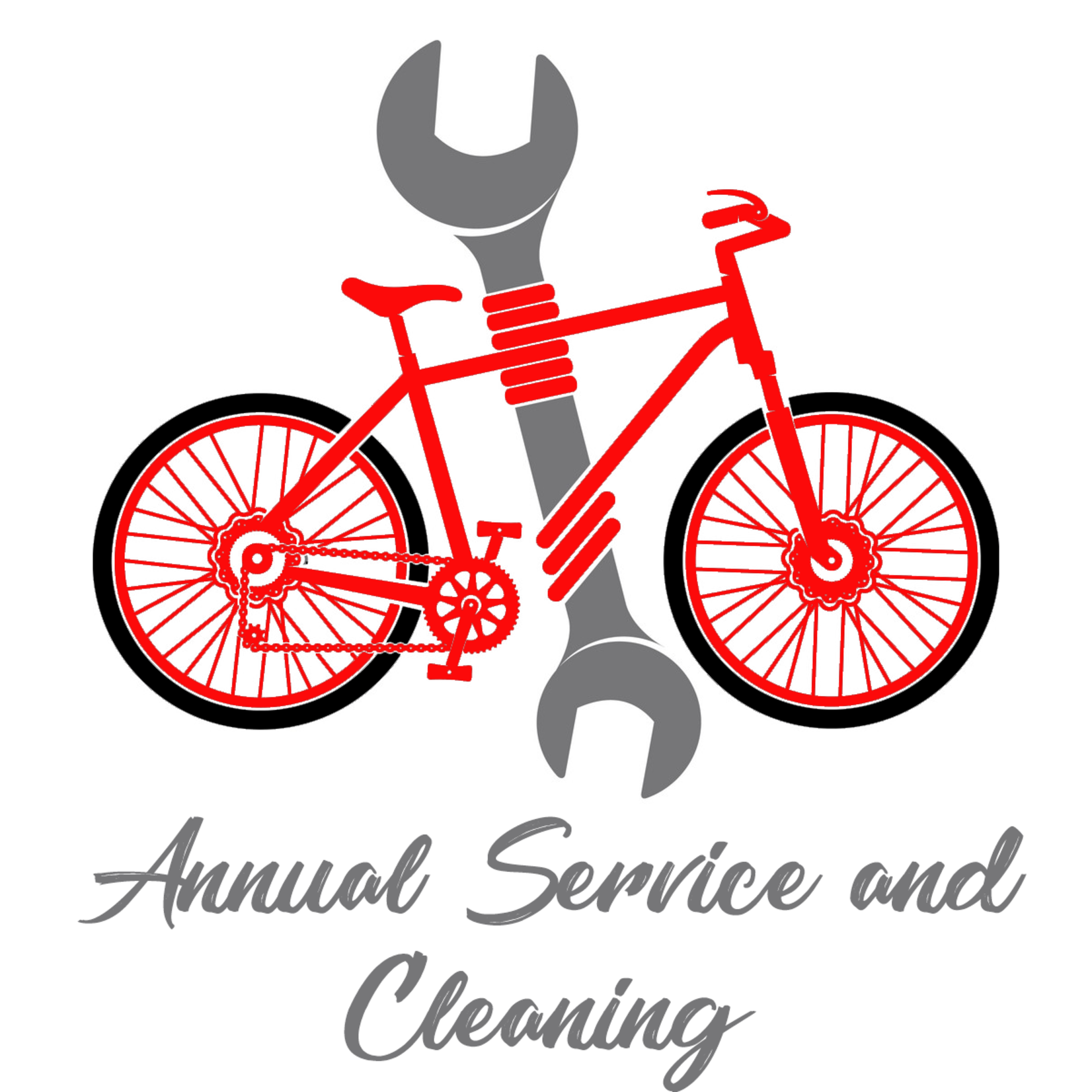 Annual Service and Cleaning
