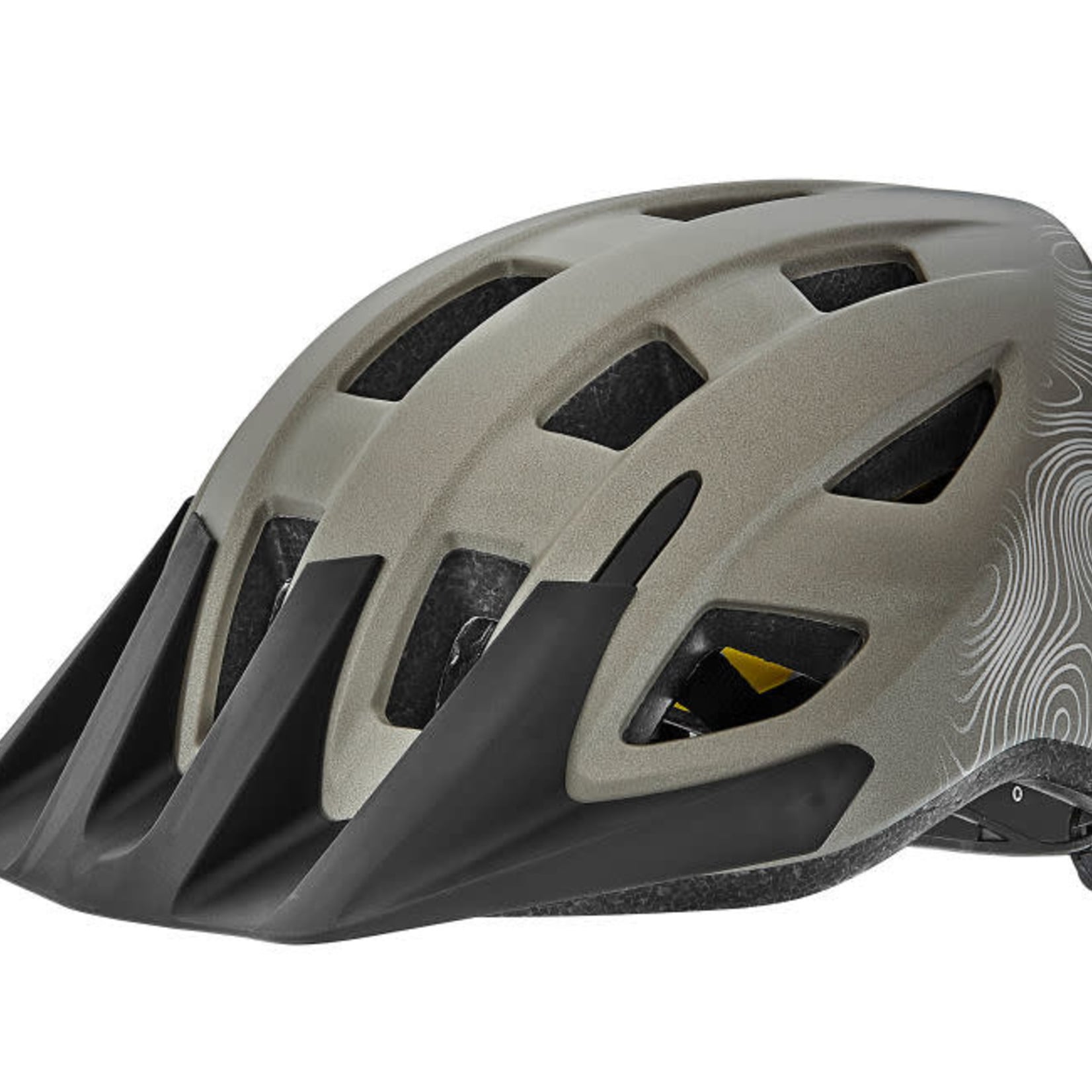 Giant Helmet Giant Path MIPS S/M Matte 