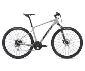 Giant 21 Giant Roam 3 Disc XL Concrete 