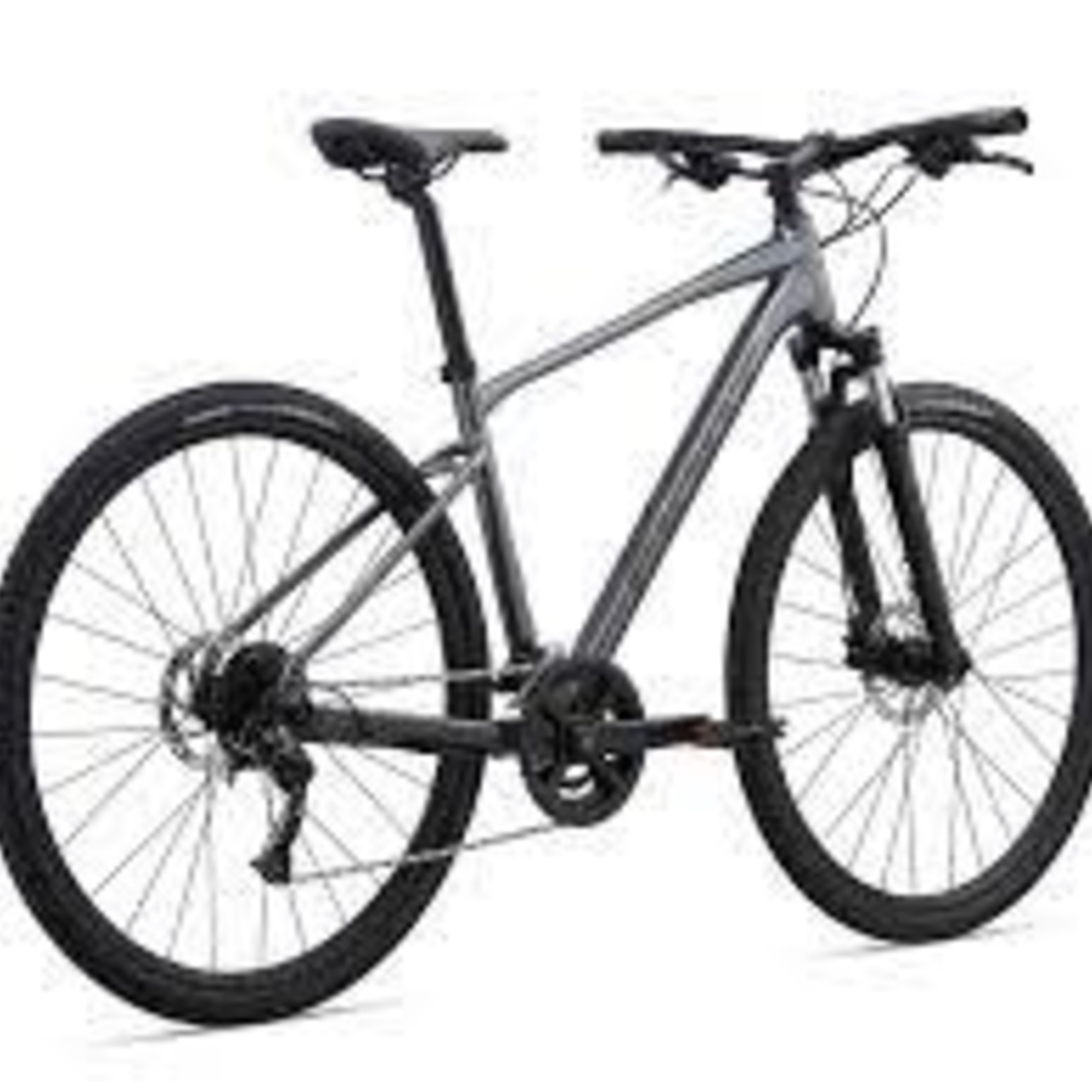 Giant 21 Giant Roam 2 Disc M Charcoal 