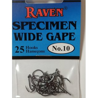 Raven Specimen Wide Gape