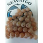 NF&T Pro Pack Beads Brown Trout UV 8mm 60