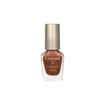 Canmake Canmake Colorful Nails N59 Copper Brown