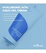 Isntree Hyaluronic Acid Aqua Gel Cream 100ml