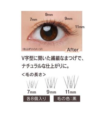 Kai Koji Matsueku Lash Fake Eyelashes No.2 Natural Type