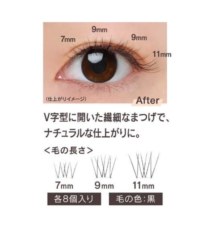 Koji Matsueku Lash Fake Eyelashes No.2 Natural Type