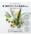 Botanist Botanical Spring Shampoo Damage Care (Sakura & Mimosa) Limited