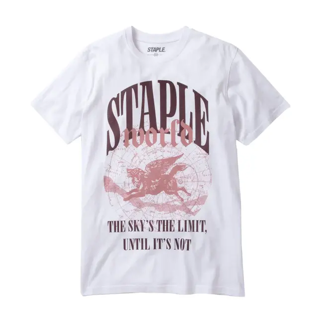 Staple Staple NYC Hunts Point Globe T Shirt White