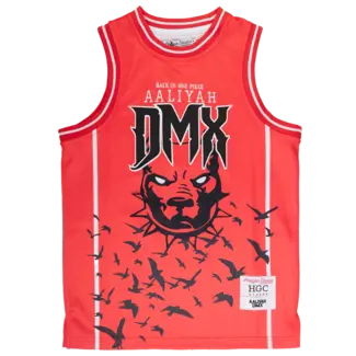 HeadGear Headgear DMX Aaliyah Jersey