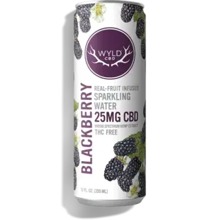 wyld WYLD: Sparkling Water - Blackberry 50mg CBD