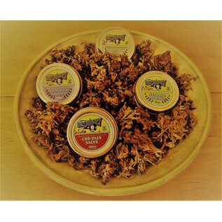 Dr. Canney Dr. Canney: Mosturizing Salve