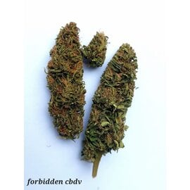 Whole Circle Farms WCF - Forbidden (CBDv) 5-Pack Pre-Rolls (5g)