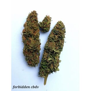 Whole Circle Farms WCF - Forbidden (CBDv) 5-Pack Pre-Rolls (5g)