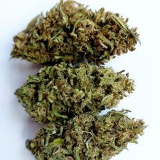 Whole Circle Farms WCF - Aqua Azul- Flower -  1oz (28g) CBD 9.3%; CBG 0.2%: THC 0.3%