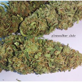 Whole Circle Farms WCF- Pine Walker- Flower (1/2oz - 14gr)  CBDV-10.40%, THC 0.187%
