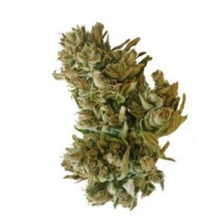 Whole Circle Farms WCF- Lavender 1g (CBG) 8.6% Pre-Roll