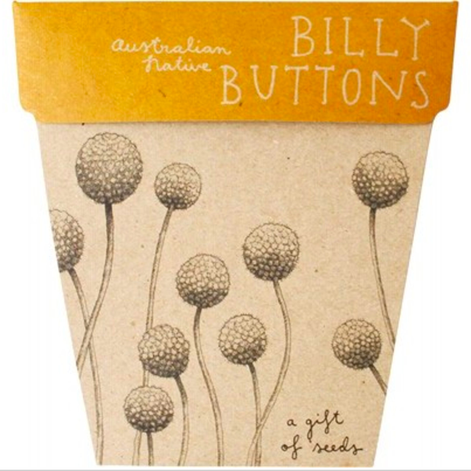 Sow 'n Sow Sow 'N Sow Gift of Seeds Billy Buttons