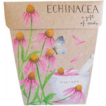 Sow 'n Sow Sow 'N Sow Gift of Seeds Echinacea