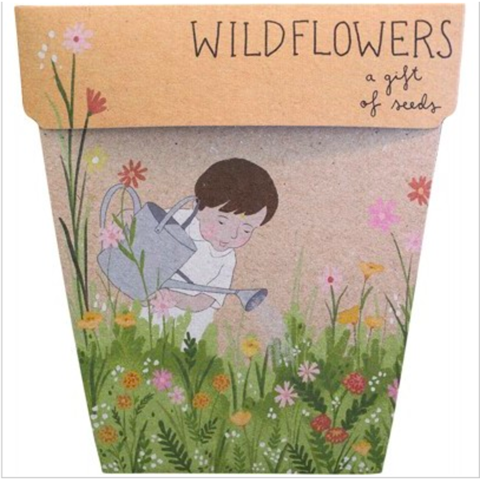 Sow 'n Sow Sow 'N Sow Gift of Seeds Wild Flowers