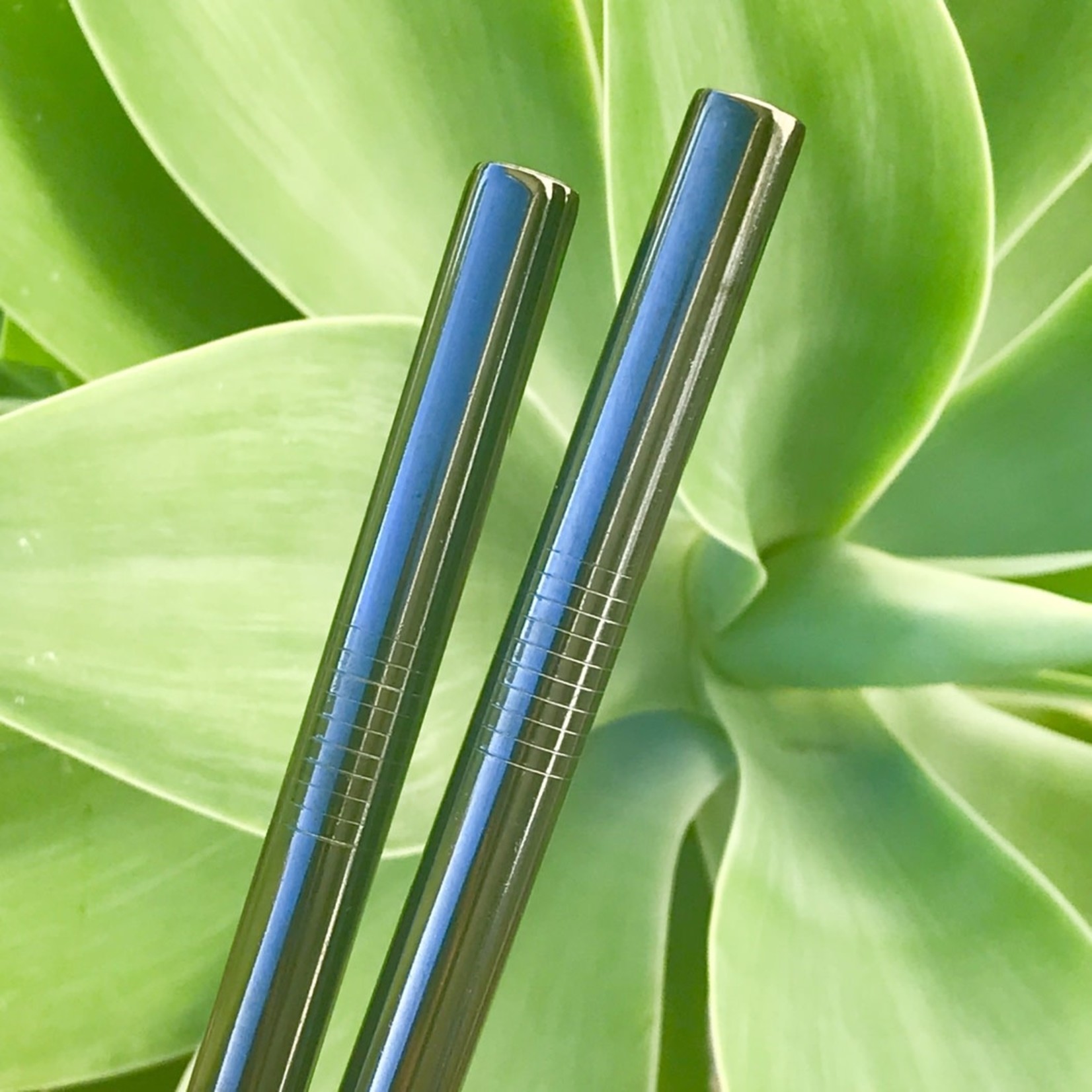 Eco Revolution Eco Revolution Stainless Steel Straw