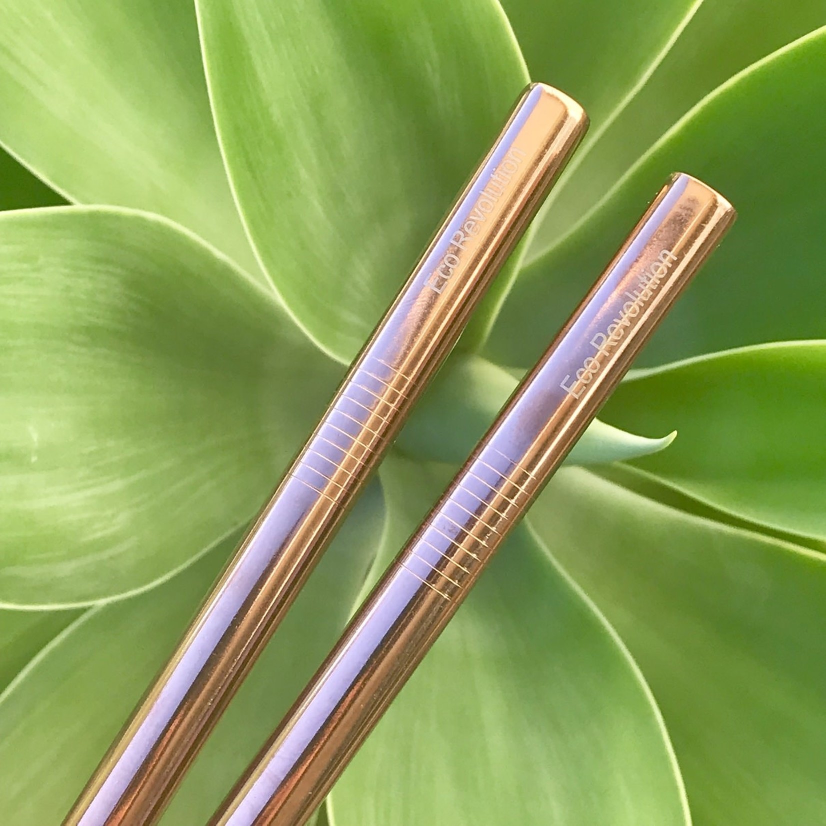 Eco Revolution Eco Revolution Stainless Steel Straw