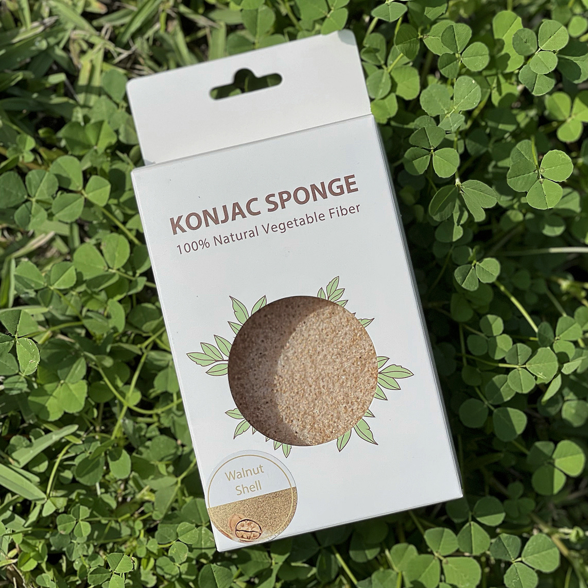 Konjac Sponge Body Walnut Shell Eco Revolution