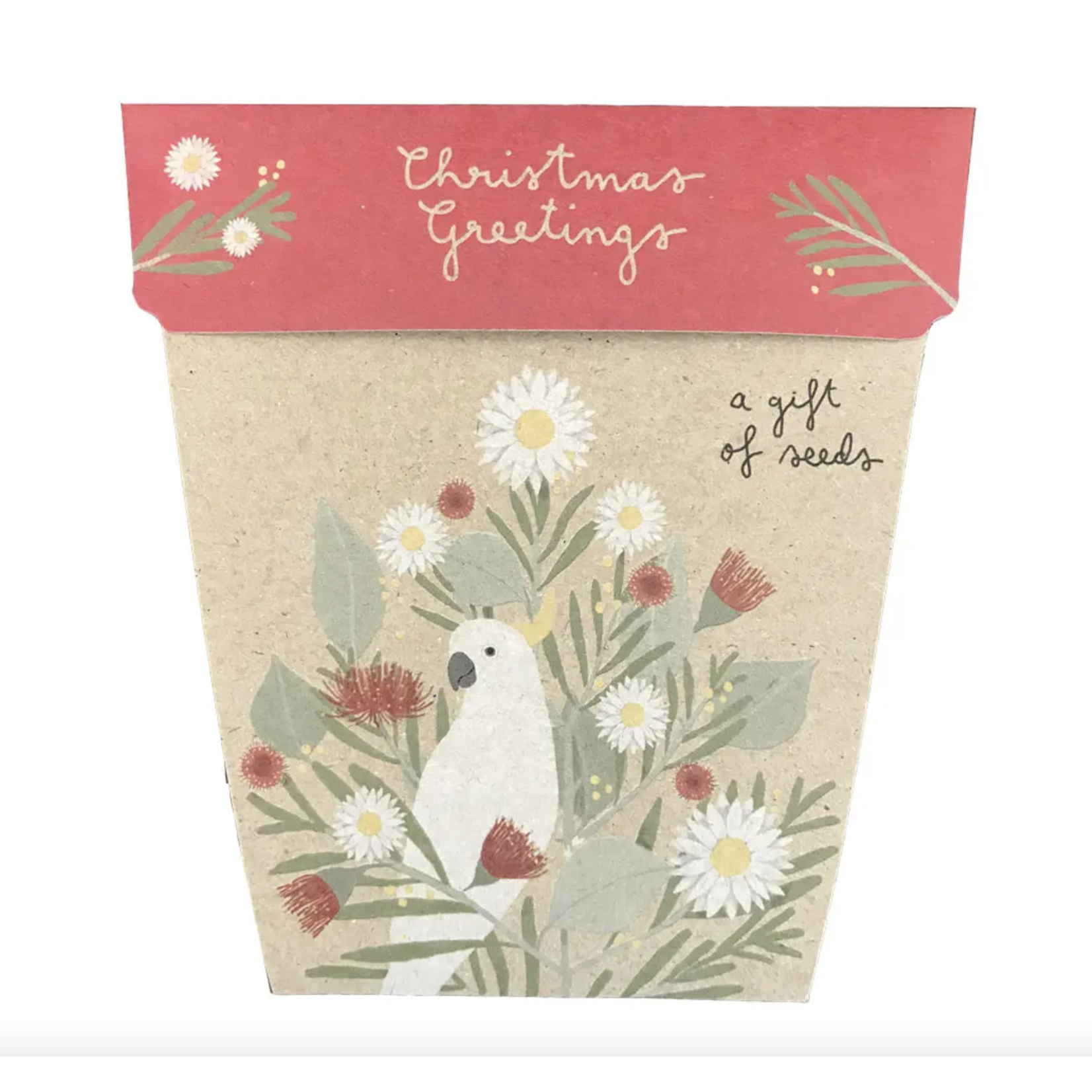 Sow 'n Sow Sow 'N Sow Gift of Seeds Christmas Greetings