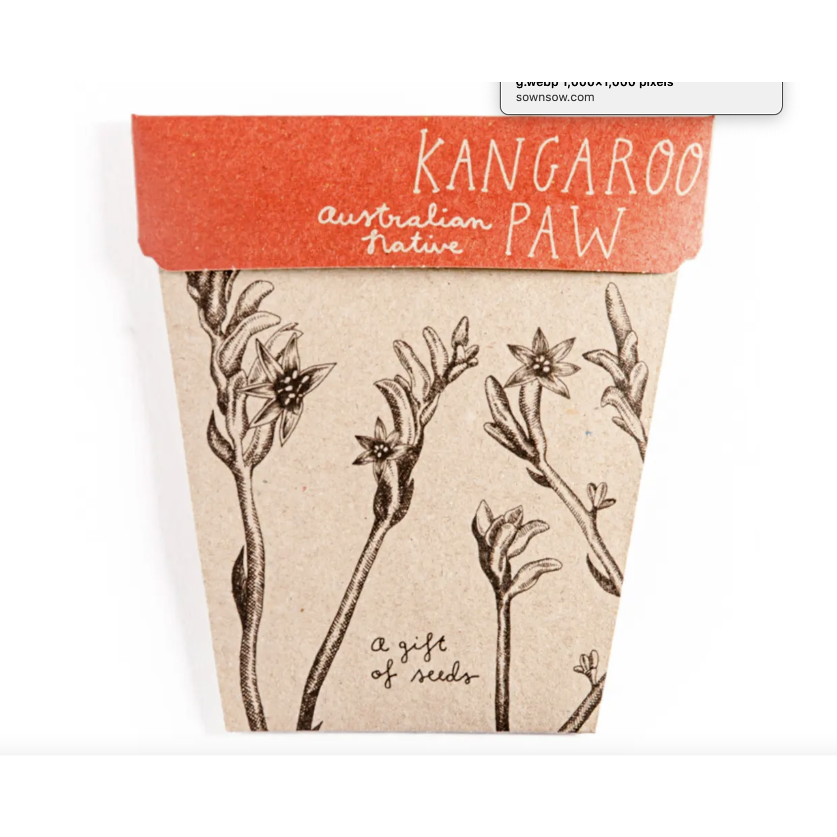 Sow 'n Sow Sow 'N Sow Gift of Seeds Kangaroo Paw