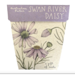 Sow 'n Sow Sow 'N Sow Gift of Seeds Swan River Daisy