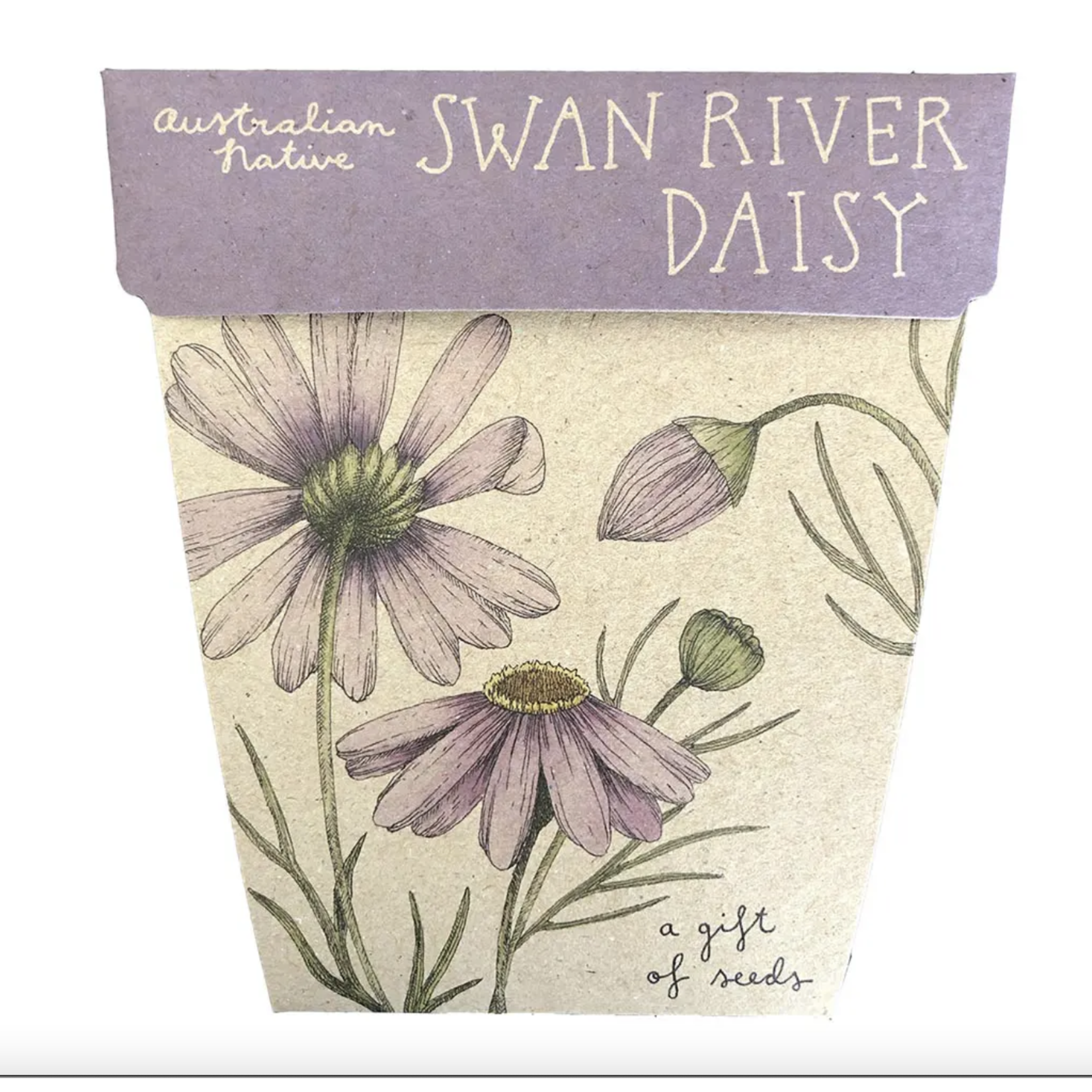 Sow 'n Sow Sow 'N Sow Gift of Seeds Swan River Daisy