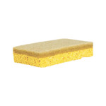 Cloverfield Clover Fields Dish Sponge Cellulose & Sisal