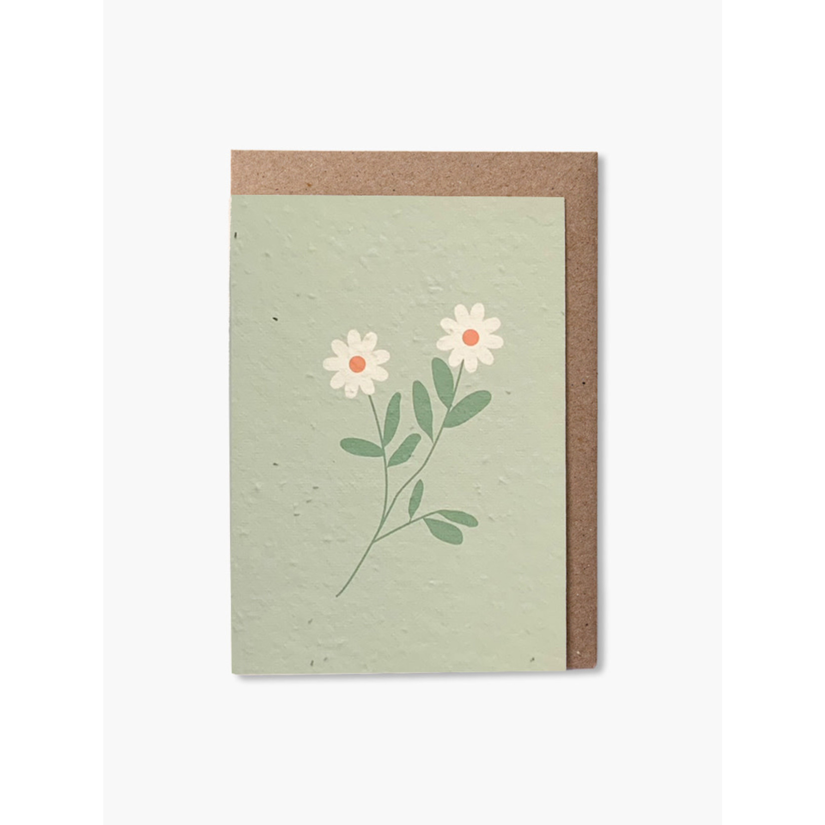 Paper & Bloom Paper & Bloom Plantable Cards Daisies